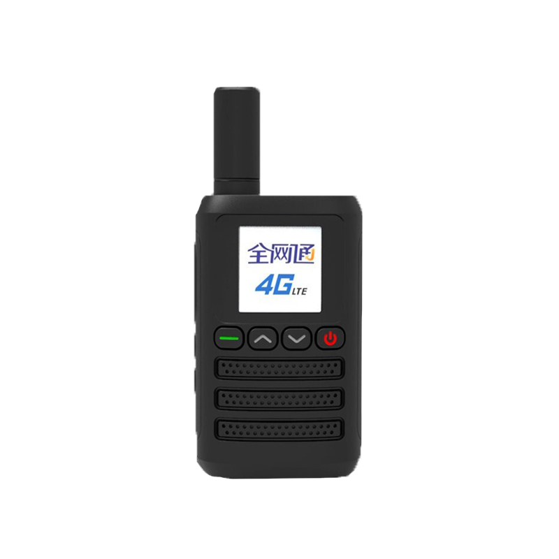 C100